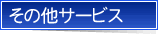 ̑̃T[rX